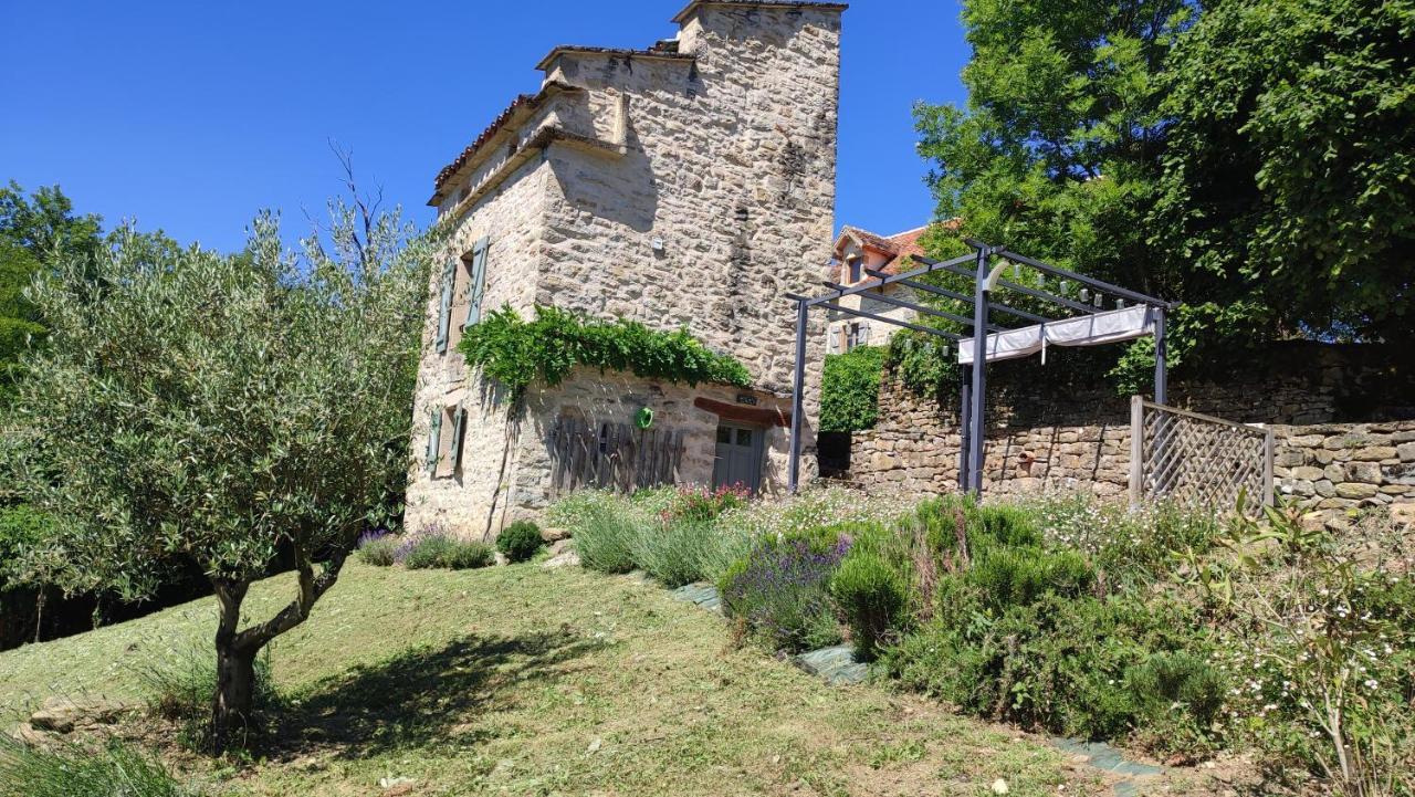Le Pigeonnier De Felines Villa Caylus Exterior photo