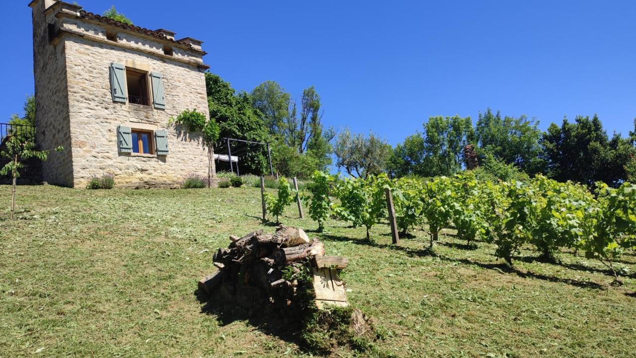 Le Pigeonnier De Felines Villa Caylus Exterior photo