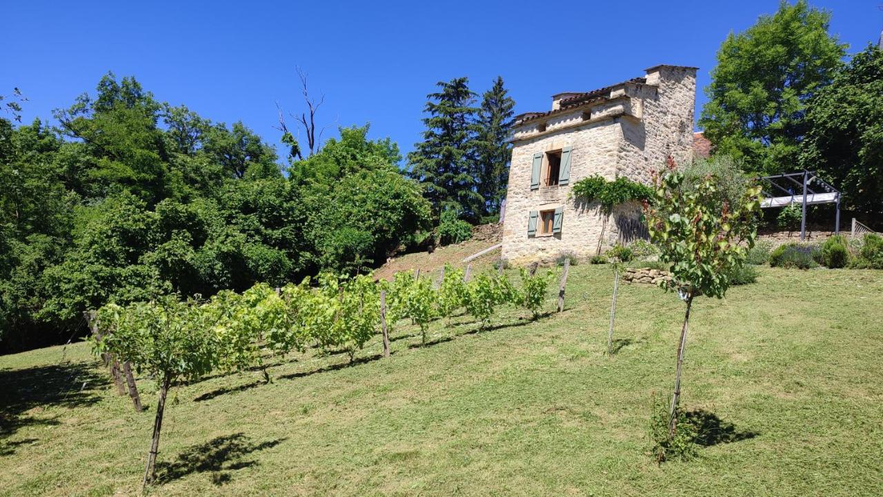 Le Pigeonnier De Felines Villa Caylus Exterior photo