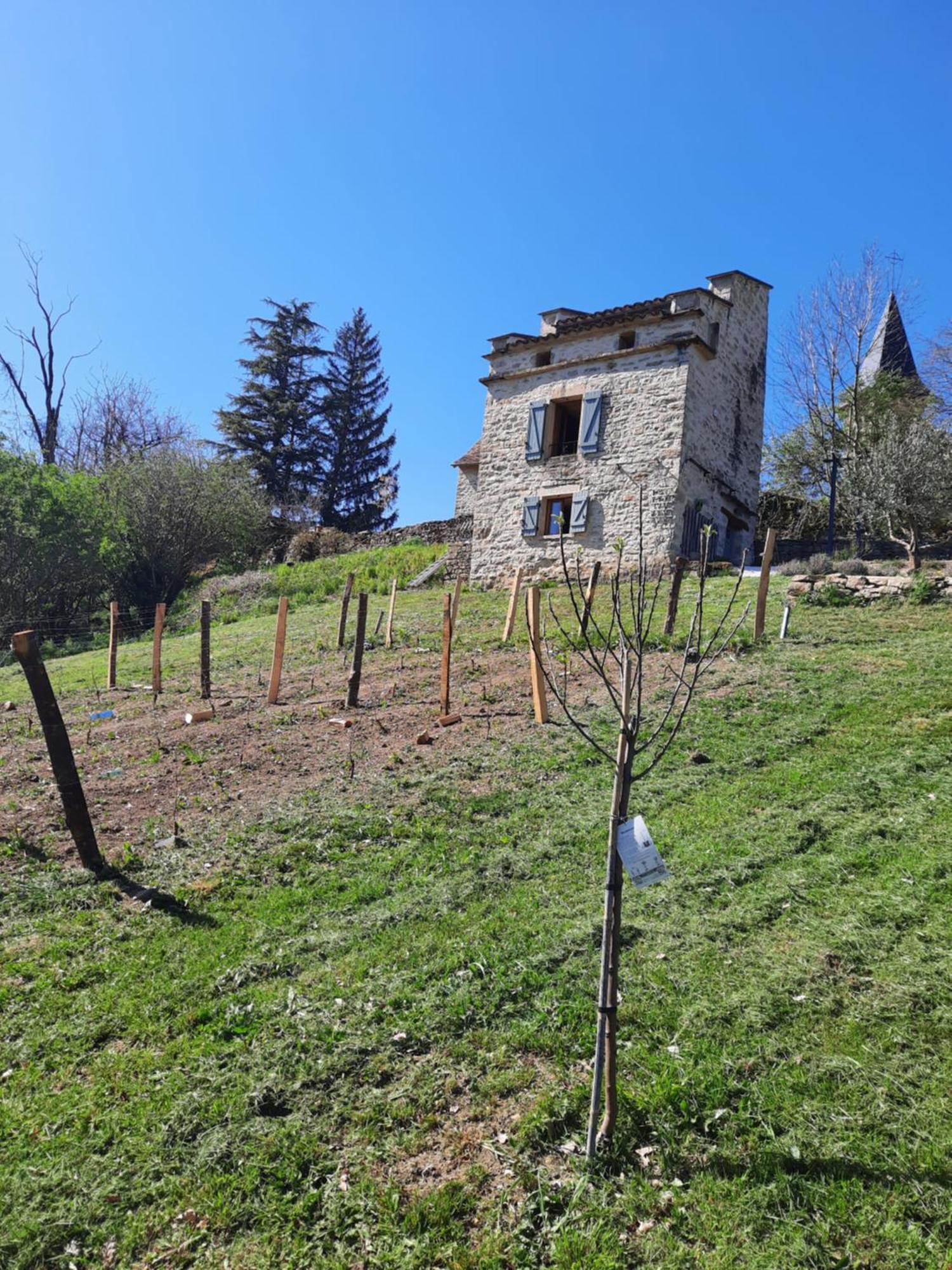 Le Pigeonnier De Felines Villa Caylus Room photo